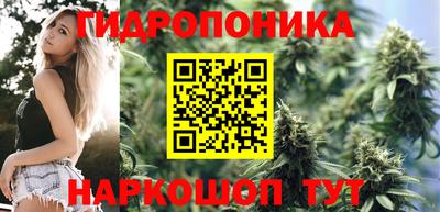 a pvp Боровичи