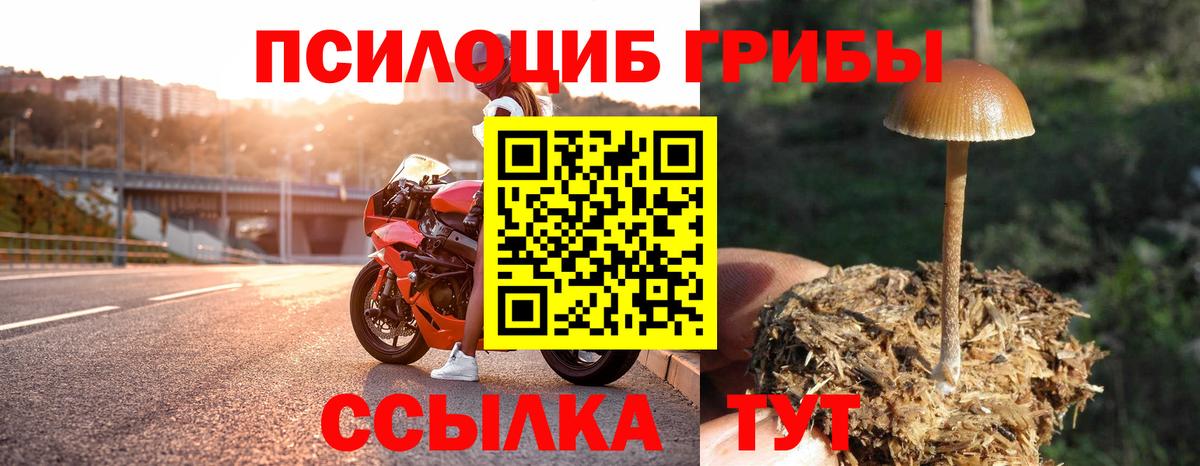 COCAIN  Каннабис  Вход с VPN  ГАШ  Зеленогорск  МЕФ кристаллы 